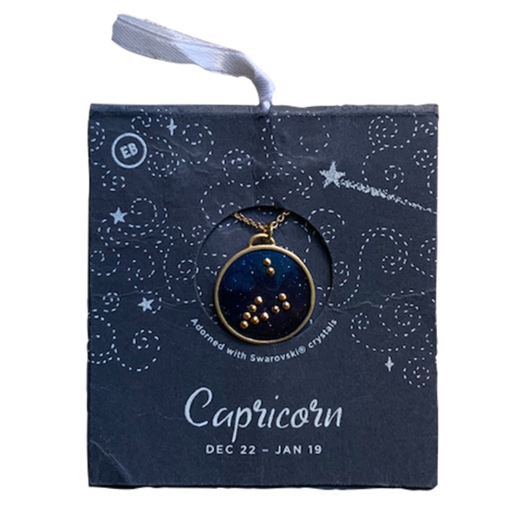 NEW Earthbound Capricorn Astrology Necklace